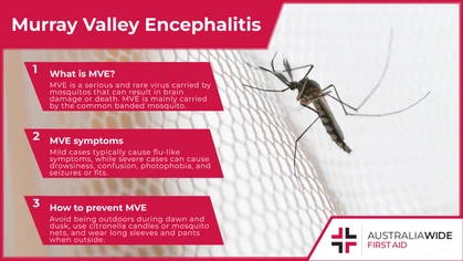 Infographic about Murray Valley Encephalitis