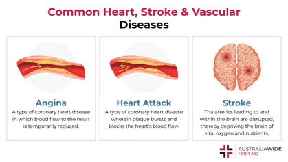 Infographic on Heart, Stroke, and Vascular Diseases