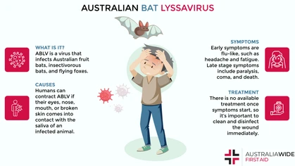 Infographic on the Australian Bat Lyssavirus 