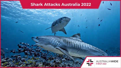 Shark Attacks Australia 2022