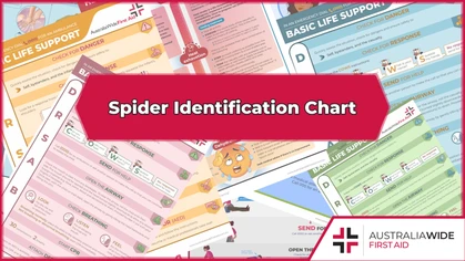 Spider identification chart cover image