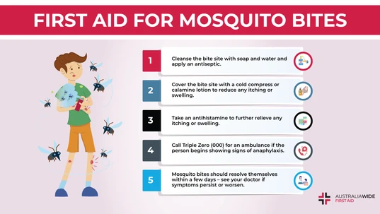 An Infographic about First Aid for Mosquito Bites