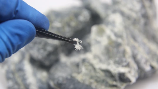 A person using tweezers to inspect some asbestos fibres