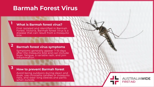 Infographic about Barmah Forest Virus