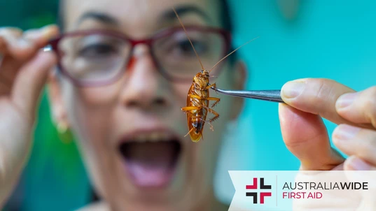A woman holding up a cockroach with tweezers