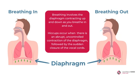 Diaphragm breathing