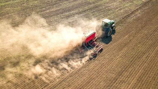 Dust cloud rising from harvesting machines on a farm