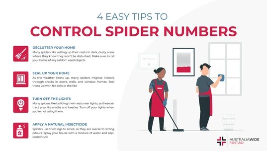Infographic about 4 tips for controlling spider numbers