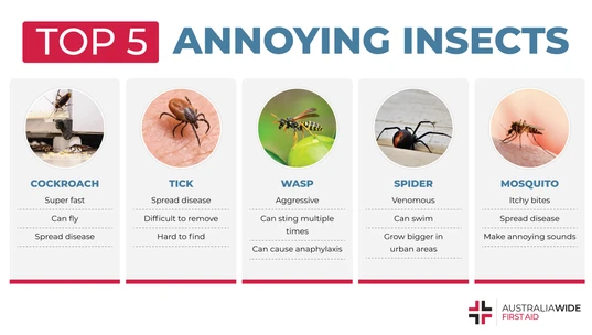 Infographic about 5 annoying Australian insects
