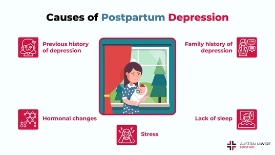 Infographic on the Causes of Postpartum Depression