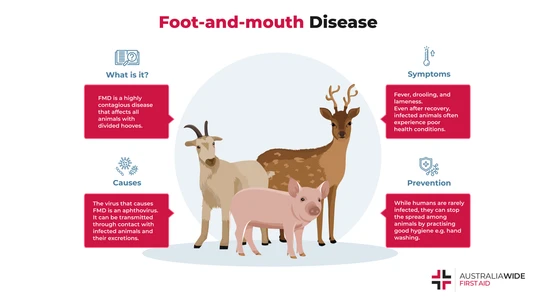 Infographic on What is Foot and Mouth Disease