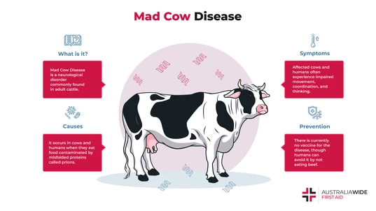 Infographic on What is Mad Cow Disease
