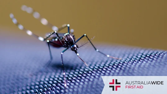 A close up of a mosquito on blue mesh clothing