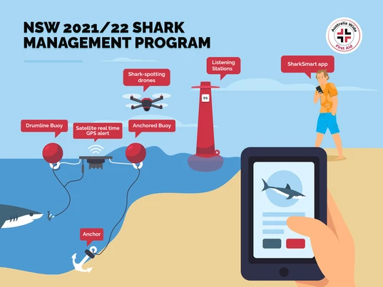 NSW 2021-2022 Shark Management Program