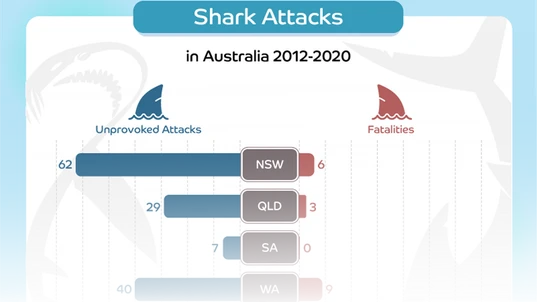 Statistics graph of shark attacks in Australia 2012-2020