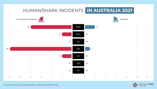 Shark Human Incidents 2021