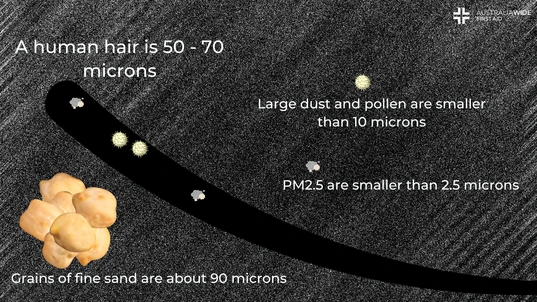 Size of human hair, sand, dust, pollen, and PM2.5 particles