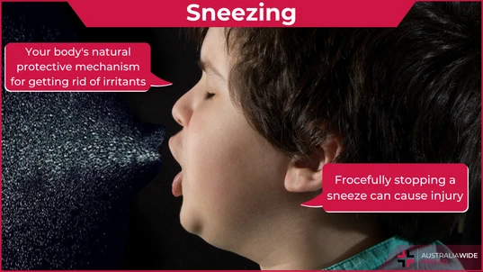 Sneeze article header