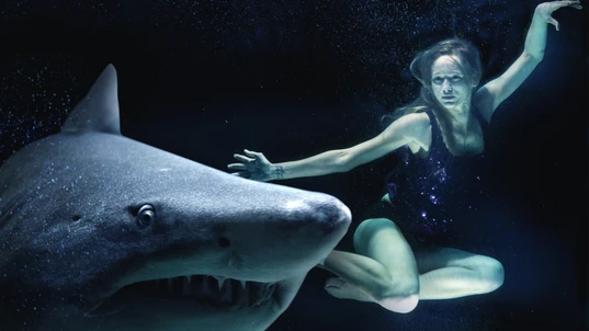 Great White Shark and woman posed in deep water
