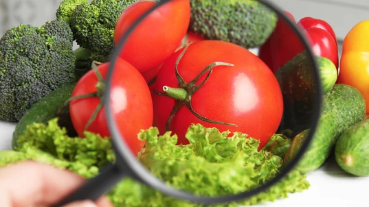  Woman with magnifying glass exploring vegetables, closeup. Poison detection